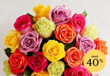 Header navigation sub menu